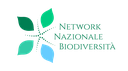 01-LOGO_NNB-color.png
