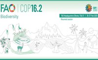 COP16 Bis