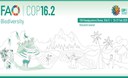 COP16 Bis