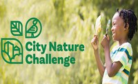 Torna la City Nature Challenge 2026