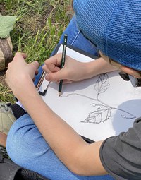 Network Nazionale della Biodiversità ed educazione alla sostenibilità