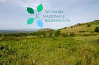 Adesione del Parco regionale dei Castelli Romani al Network Nazionale della Biodiversità
