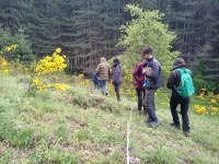 Al via la campagna di rilievi della vegetazione nei parchi nazionali: 52 squadre al lavoro in tutta Italia