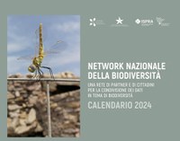 Calendario NNB 2024