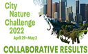 Cittadini scienziati in azione: il 2022 è l'anno delle api nella City Nature Challenge