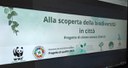 Conclusa la seconda parte del Progetto “Alla scoperta della biodiversità in città”