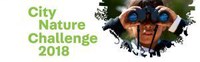 Confronto internazionale dei citizen scientists in azione: pubblicati i risultati del caso studio della City Nature Challenge