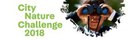 Confronto internazionale dei citizen scientists in azione: pubblicati i risultati del caso studio della City Nature Challenge
