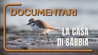 Documentario ISPRA "La casa di sabbia"