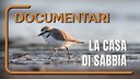 Documentario ISPRA "La casa di sabbia"