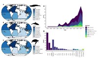 Nuovo studio di ISPRA e Università di Roma Sapienza sulla revisione degli strumenti a disposizione della scienza per identificare le aree chiave di cetacei e tartarughe marine