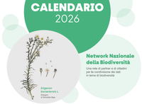 Scarica la tua copia in formato pdf del calendario 2026 del Network Nazionale della Biodiversità