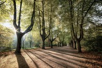 Stati Generali delle Aree naturali protette