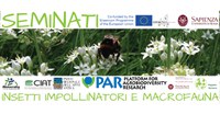 Un ciclo di appuntamenti su “INSETTI IMPOLLINATORI E MACROFAUNA” … nell’orto e nel giardino urbano – 21/3/2022- 18-6-2022