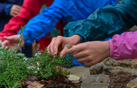 Urban Nature - L’impegno delle Scuole per il benessere delle nostre Città
