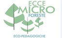 Workshop "Ecce Microforeste sulle microforeste eco-pedagogiche"