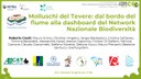 locandina-tevere-molluschi-fantastici.jpg