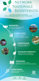 Screenshot 2025-10-14 141433.png