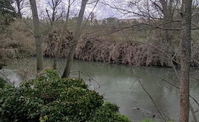 aniene-parco.jpeg
