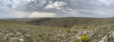 20240625-panorama.jpeg